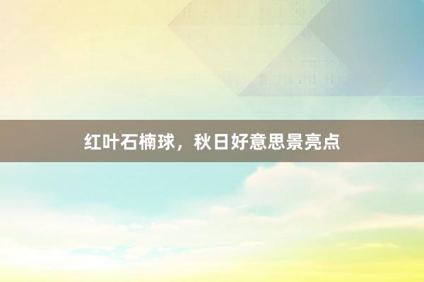 红叶石楠球，秋日好意思景亮点