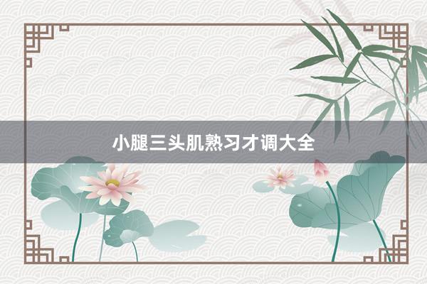 小腿三头肌熟习才调大全